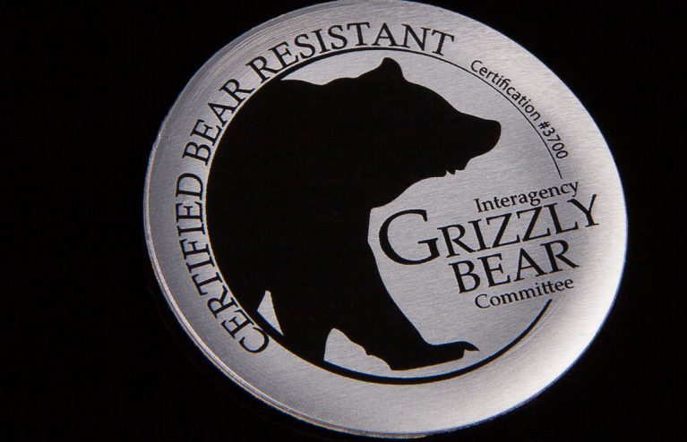 Grizzly Bear