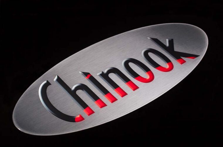 Badge Dômé - Chinook